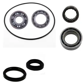 219-502.02 4xpro Arctic Cat 250 300 2x4 Front Differential Bearing And Seal Kit 2006 - 2021