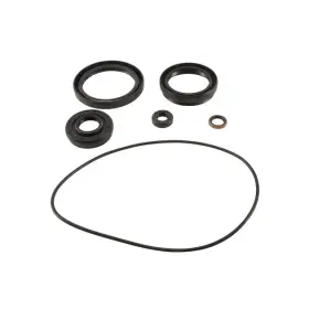25-2120-5 All Balls Differential Seal Only Kit Front For Kawasaki Brute Force 750