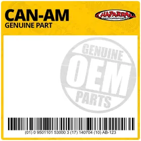 290888135 Canam Oem Genuine Cylinder Gasket Set For Atv Utv Replacement Parts