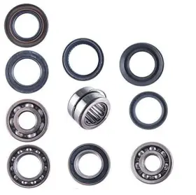 Dk602.01 East Lake Axle Honda Rear Differential Bearing And Seal Kit Trx 350 Foreman 1986 1987 1988 1989