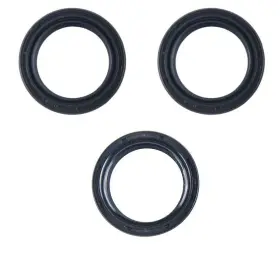Dsk209.01 East Lake Axle Kawasaki Rear Differential And Seal Kit Bayou 300 2x4 1988 1989 1990 - 2004
