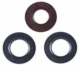 Dsk312.01 East Lake Axle Polaris Sportsman Rear Differential Seal Kit 550 850 2009 Only