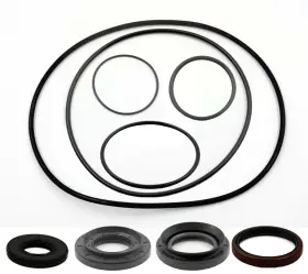 Dsk704.01 East Lake Axle Suzuki Rear Differential Seal Kit 250 Ozark Quadsport 2002 - 2014