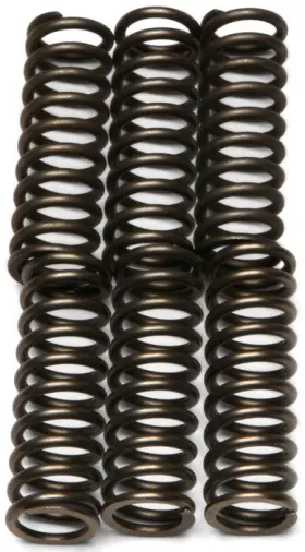 Csk125 Ebc Csk Clutch Springs Fits Suzuki Lt-r450 Quadracer 450 2006-2011
