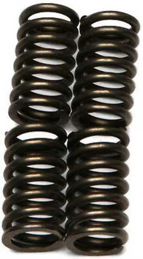 Csk48 Ebc Clutch Springs Kit For Honda Atc125m 86-87