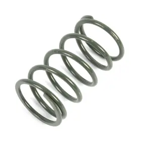 Patv11 Epi Primary Clutch Spring Drive