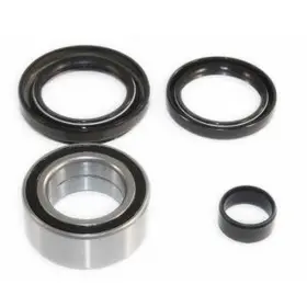 We301013 Epi Wheel Bearing Kit -