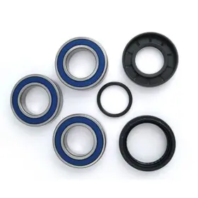 We301021 Epi Wheel Bearing Kit -