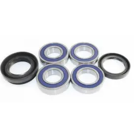 We301023 Epi Wheel Bearing Kit -