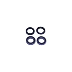 We301117 Epi Wheel Bearing Kit -