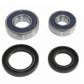 We301203 Epi Wheel Bearing Kit -