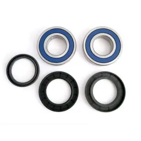 We301219 Epi Wheel Bearing Kit -