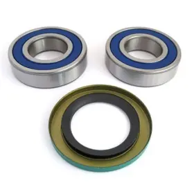 We301413 Epi Wheel Bearing Kit -