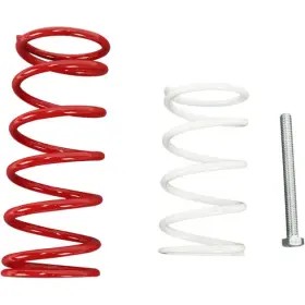 We397440 Epi Economy Clutch Kit #we397440 Can-am Renegade 800