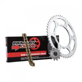 1022610060 Primary Drive Steel Kit And Gold X-ring Chain