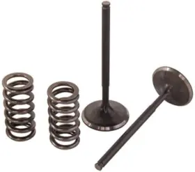 Prox2952 Prox Racing Parts Pro X Steel Intake Valve/spring Kit For Kawasaki Kx250f 2009-2010