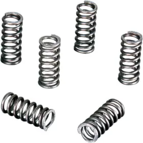 Atcl-su541075-08 Vesrah 1989-1990 Suzuki Lt250s Quadsport 250 Atv Clutch Spring Set