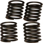 Ebc Brakes CSK147 Clutch Spring Kit New. Price: $22.69.