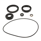 Balls Racing Differential Seal Only Kit Front 25-2120-5 New. Price: $42.75.