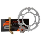 Primary Drive 1022610060 Chain And Sprocket Kit Steel Rear/gold X-ring New. Price: $108.10.