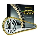 Regina Gold 428ORN Chain And Sprocket Kit - 6ORN/100KHO041 New. Price: $152.88.