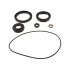 Balls Front Differential Seal Kit 25-2120-5CL77 New. Price: $27.44.