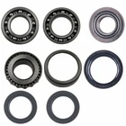 1988-2004 Kawasaki Bayou KLF300B Rear Differential Bearing And Seal Kit New. Price: $64.67.