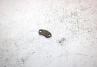 1996 Yamaha Badger YFM80H Oem Shift Drum Retainer 22F-18562-01-00 AY14 Used. Price: $9.99.