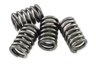 Ebc CSK48 Clutch Spring Kit New. Price: $12.99.