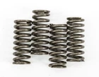 Ebc CSK149 Clutch Springs New. Price: $22.29.