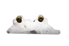 18 Polaris Sportsman Xp 1000 High Lifter Oil Deflector Used. Price: $9.90.