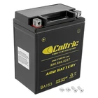 Caltric Agm Battery For Arctic Cat Alterra 400 4X4 2016 2017 / 12V 12AH 200 New. Price: $48.00.