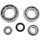 Moose Racing Differential Bearing And Seal Kit Rear 1205-0260 25-2102 New. Price: $100.95.