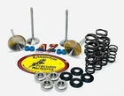Suzuki LTZ400 Kibblewhite Intake & Exhaust Valves Springs Seals Kit New. Price: $241.10.