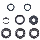 2008-2010 Polaris 800 Ranger Rzr Front Differential Bearing & Seal Kit New. Price: $69.29.