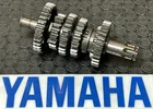 Oem Yamaha Blaster Trans Drive Axle Assembly Shaft Wheel Gear Fast Ship GEN1 Used. Price: $39.99.