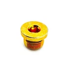 Polaris Socket Head With Mag Plug, 18 X 1.5 Mm, Genuine Oem - 3234756 New. Price: $43.99.