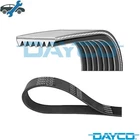 Vribbed Belt 7PK1322 For Man F2000 D2866LF34/2866LF23 12.0L 6CYL New. Price: $32.71.