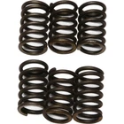 Ebc Brakes Clutch Springs CSK23 New. Price: $18.30.