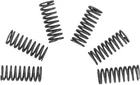 Ebc Clutch Springs #CSK32 For Suzuki RMX250/RM250/RM125 New. Price: $16.87.