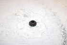 1986 Honda Trx 125 Oem Starter Gear 31201-968-003 AH41 Used. Price: $34.99.