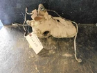 2011 Honda Foreman 500 Front Differential 41400-HP0-B81 Used. Price: $299.99.