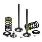 Psychic Intake Valve Kit #XU-09515IK For Kawasaki KX250F 4-STROKE 2009-2010 New. Price: $69.23.
