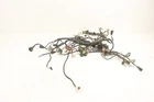 Kawasaki Brute Force 750 23 Harness Main Chassis Wiring 26031-1656 48542 Used. Price: $184.99.