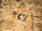05 Kubota RTV900 Reverse Transmission Gear Used. Price: $69.87.