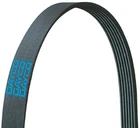 Dayco 5060330 Serpentine Belt Power Take Off For 97-13 Beetle Q45 New. Price: $26.02.