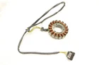 Cf-moto Zforce 500 Trail 21 Magneto Stator 0GRB-032000-10000 52757 Used. Price: $94.99.