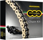 Regina Chain And Sprocket Kit 6ORN/098KHO040 New. Price: $165.99.