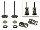 Psychic Intake Valve Kit New. Price: $82.95.