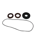 Balls Rear Differential Seal Kit 25-2088-5 New. Price: $24.75.